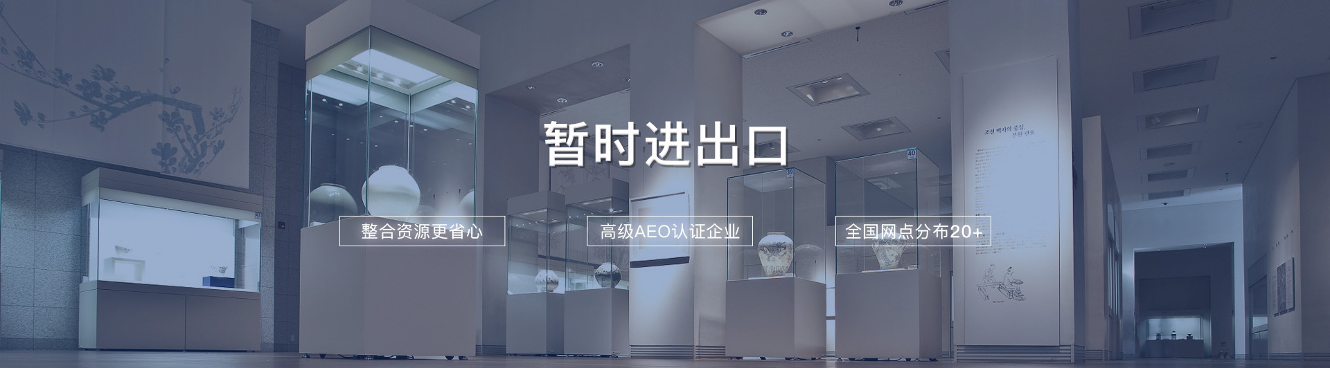 暫時進出口